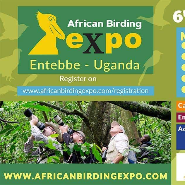 african birding expo