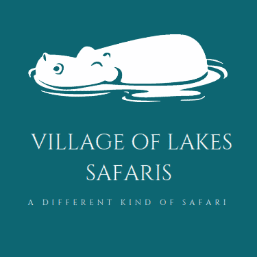 Village lake of safaris