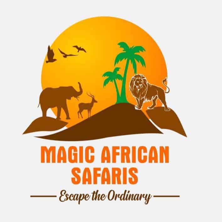 magic african safaris