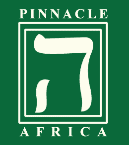 Pinnacle Africa