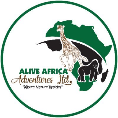 alive african adventures